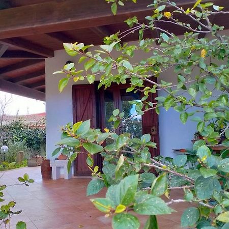 Casa Armas ξενώνας Buggerru Εξωτερικό φωτογραφία