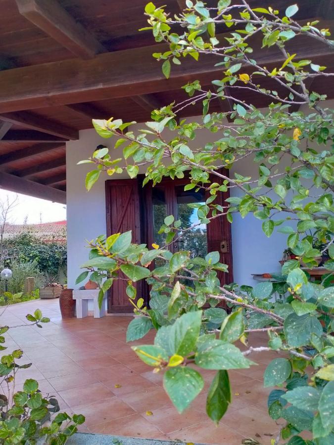 Casa Armas ξενώνας Buggerru Εξωτερικό φωτογραφία